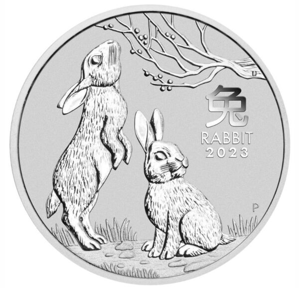 1kg Silver lunar rabbit coin