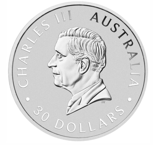 silver kilo coin