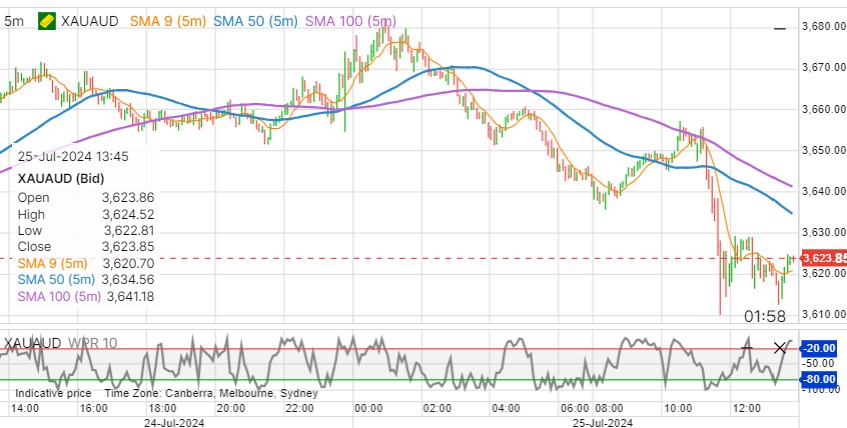 gold price chart 25/07/2024